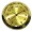 Gold Face Arabic 1-7/16 (36mm) Glass Lens Fit-Up