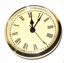 Ivory Roman Gold Bezel  2-3/4 insert