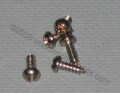 #4  Phillips Round Head Nickel Plated Screw